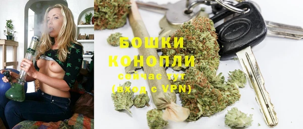 дживик Моршанск