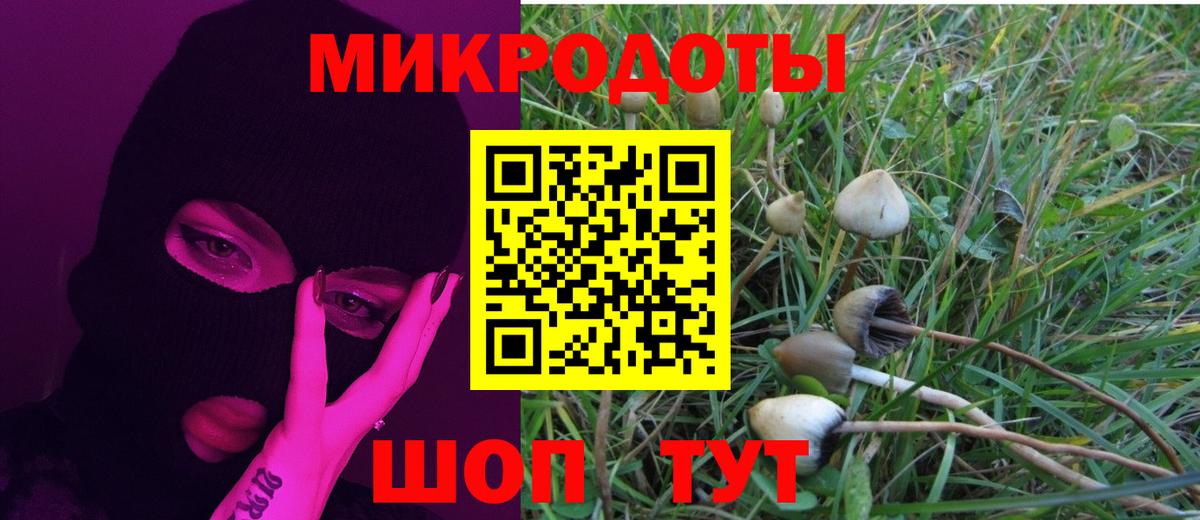 Муром  Псилоцибиновые грибы ЛСД  закладка  Вход с VPN 
