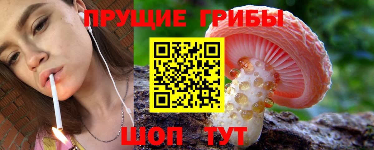 Псилоцибиновые грибы MAGIC MUSHROOMS Муром