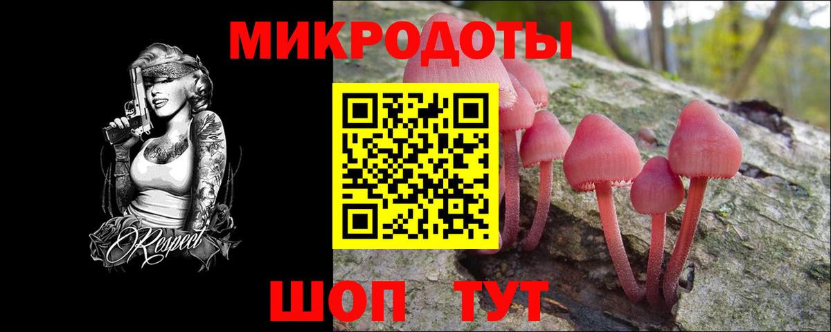 Псилоцибиновые грибы Psilocybe Муром